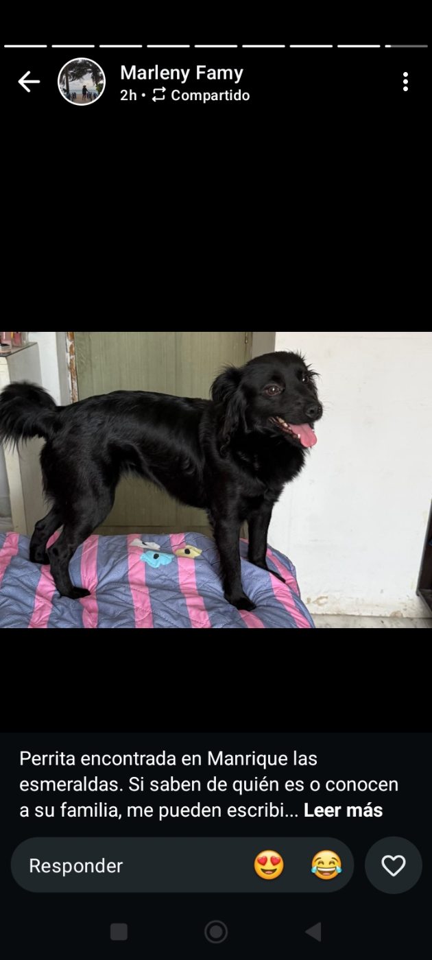 Foto de Negra