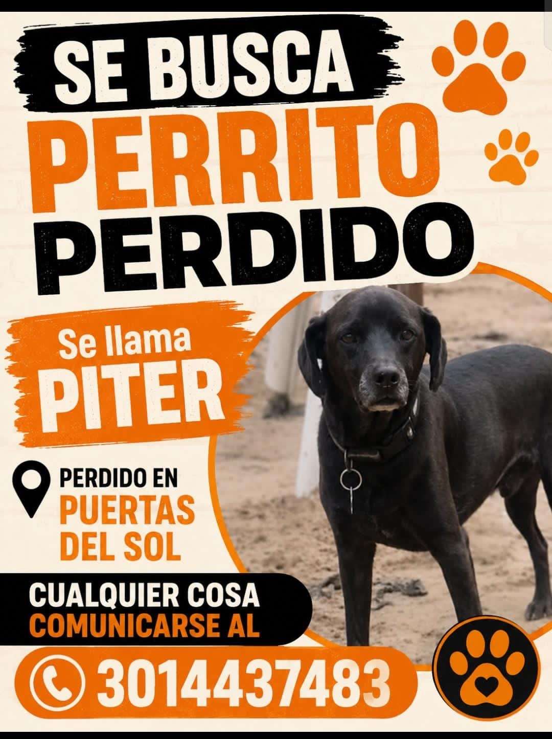 Piter