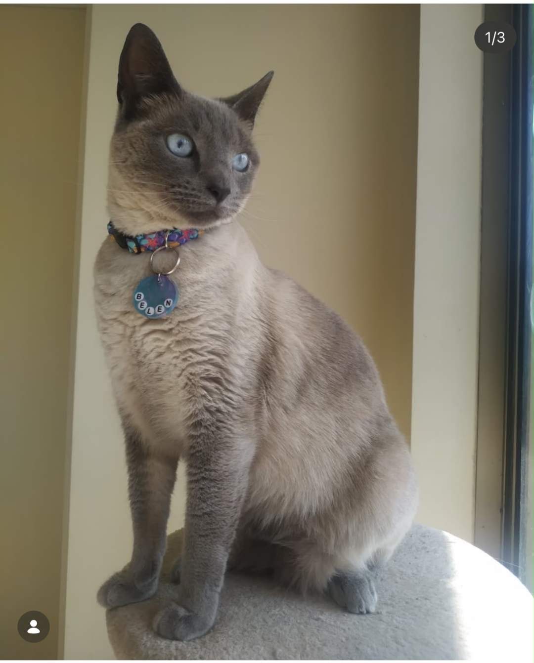 Foto de Belén