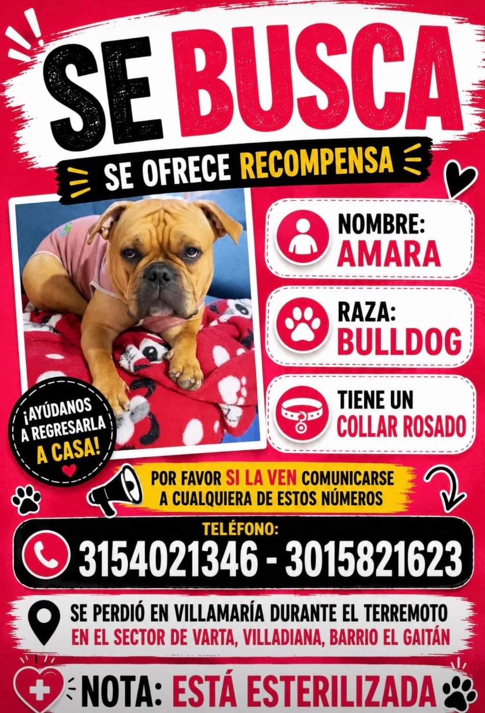 Foto de Amara