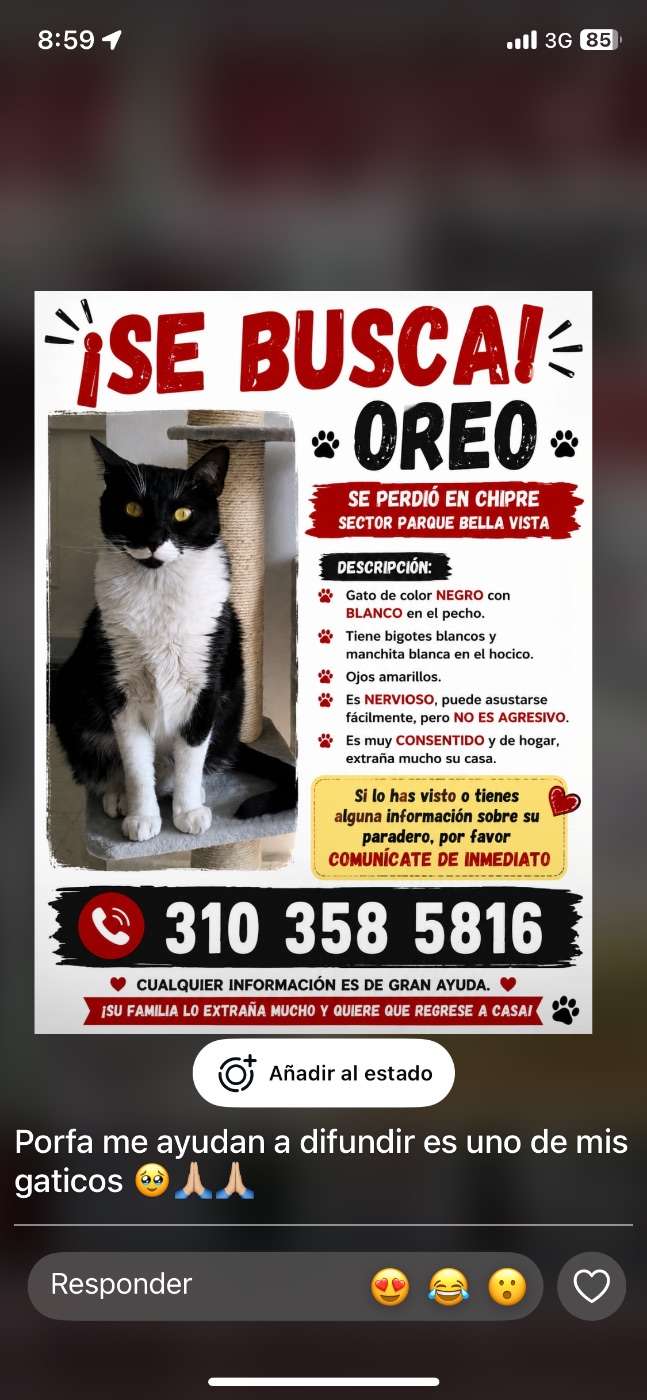 Oreo