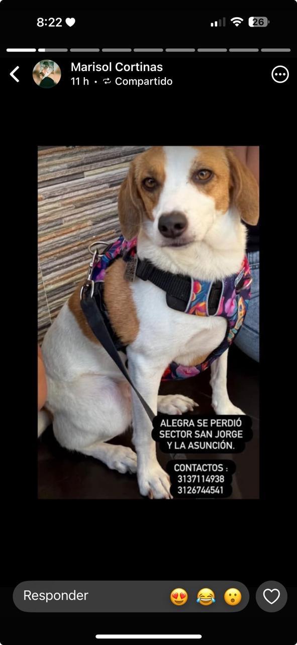 Foto de Alegra