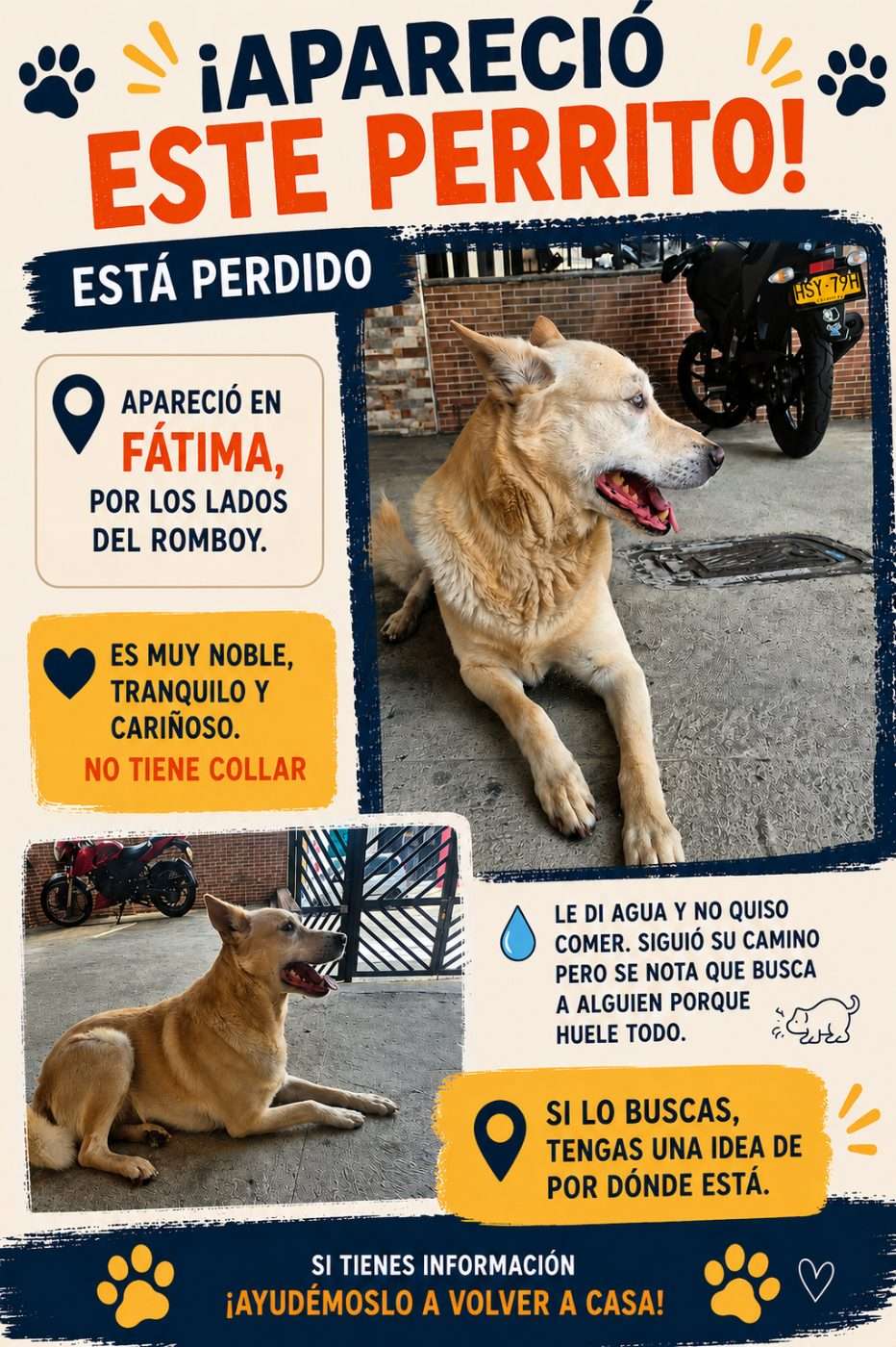 Mascota