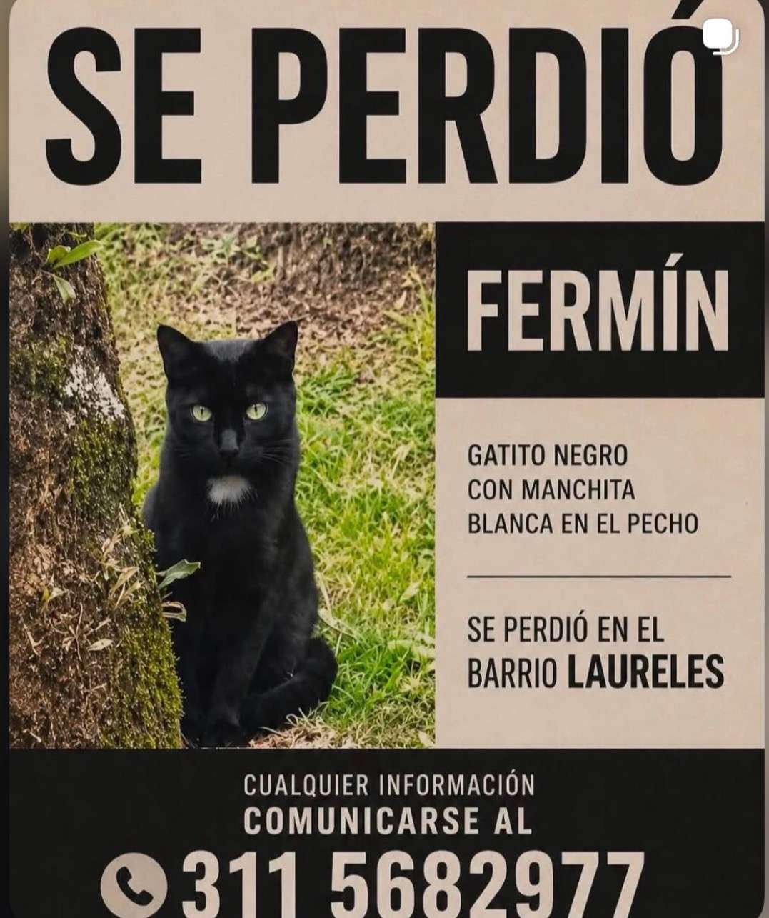 Fermín
