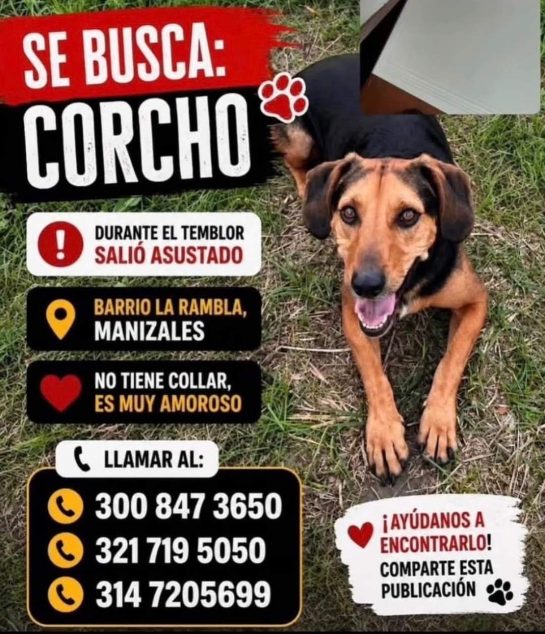 Foto de Corcho