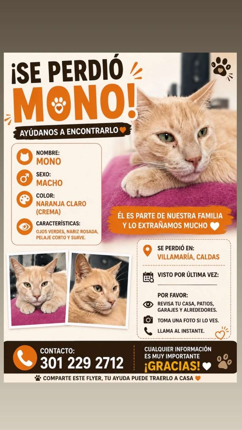 Mono