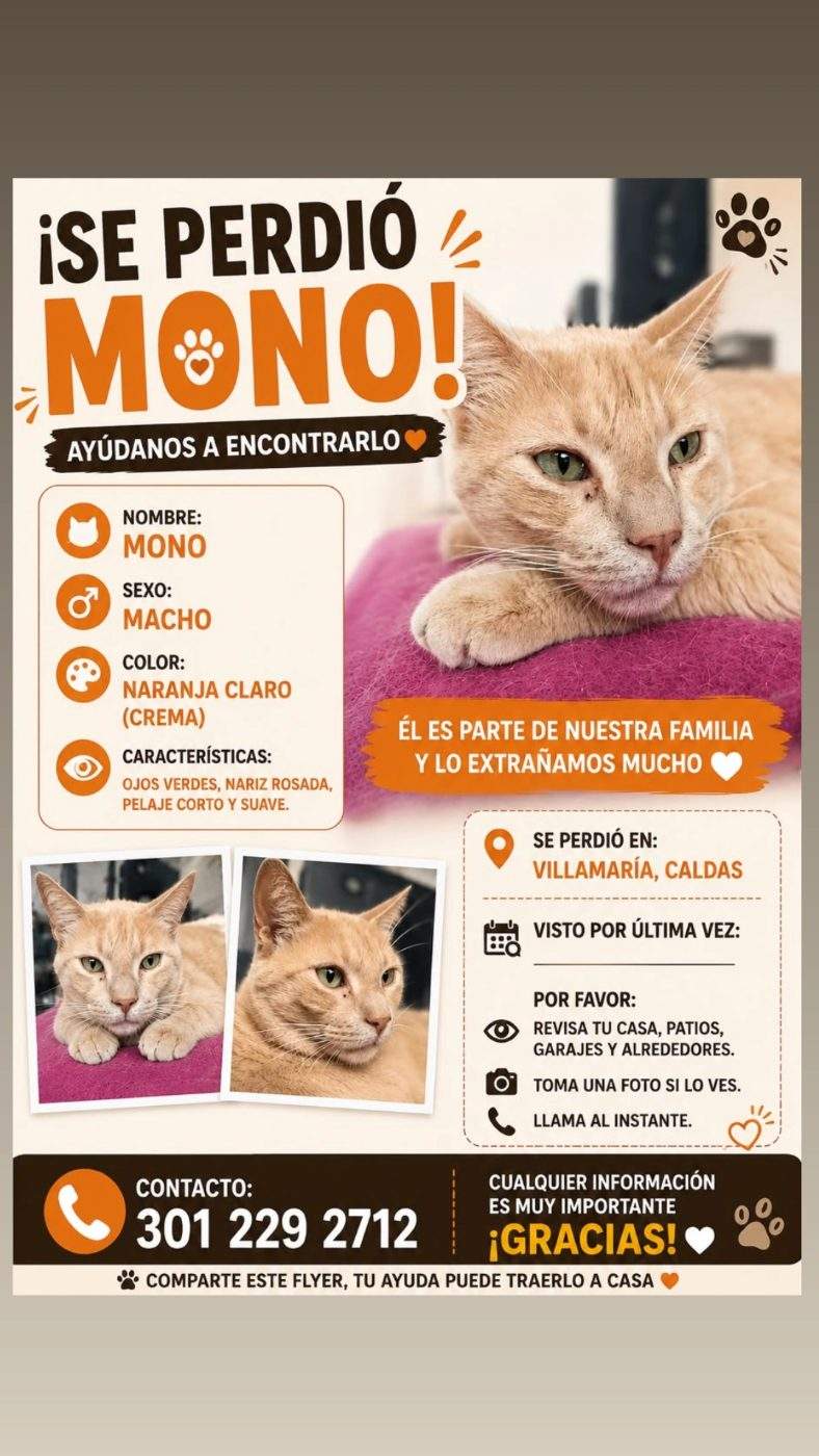 Foto de Mono