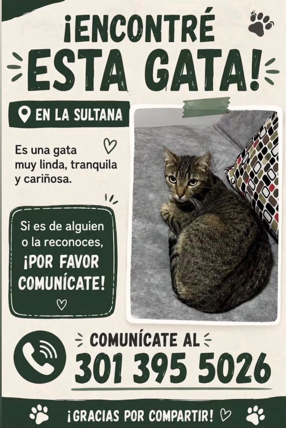 Foto de la mascota