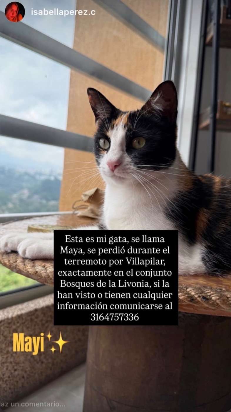Maya