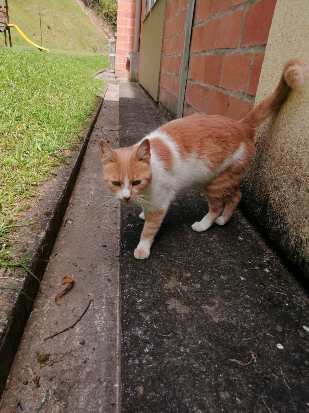 Foto de Sin nombre