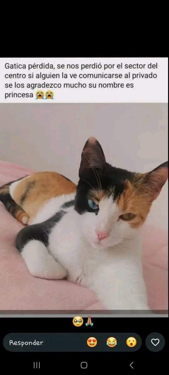 Foto de Princesa