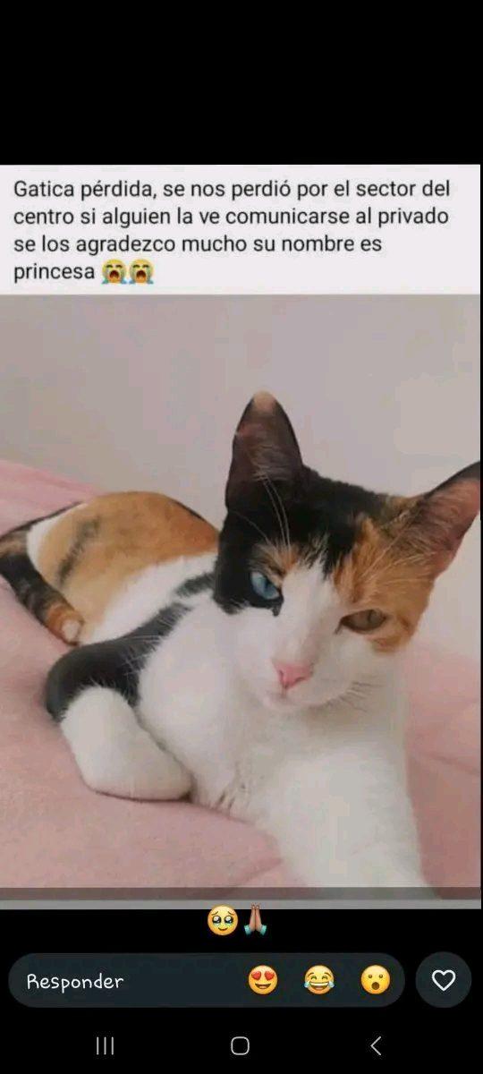 Foto de Princesa