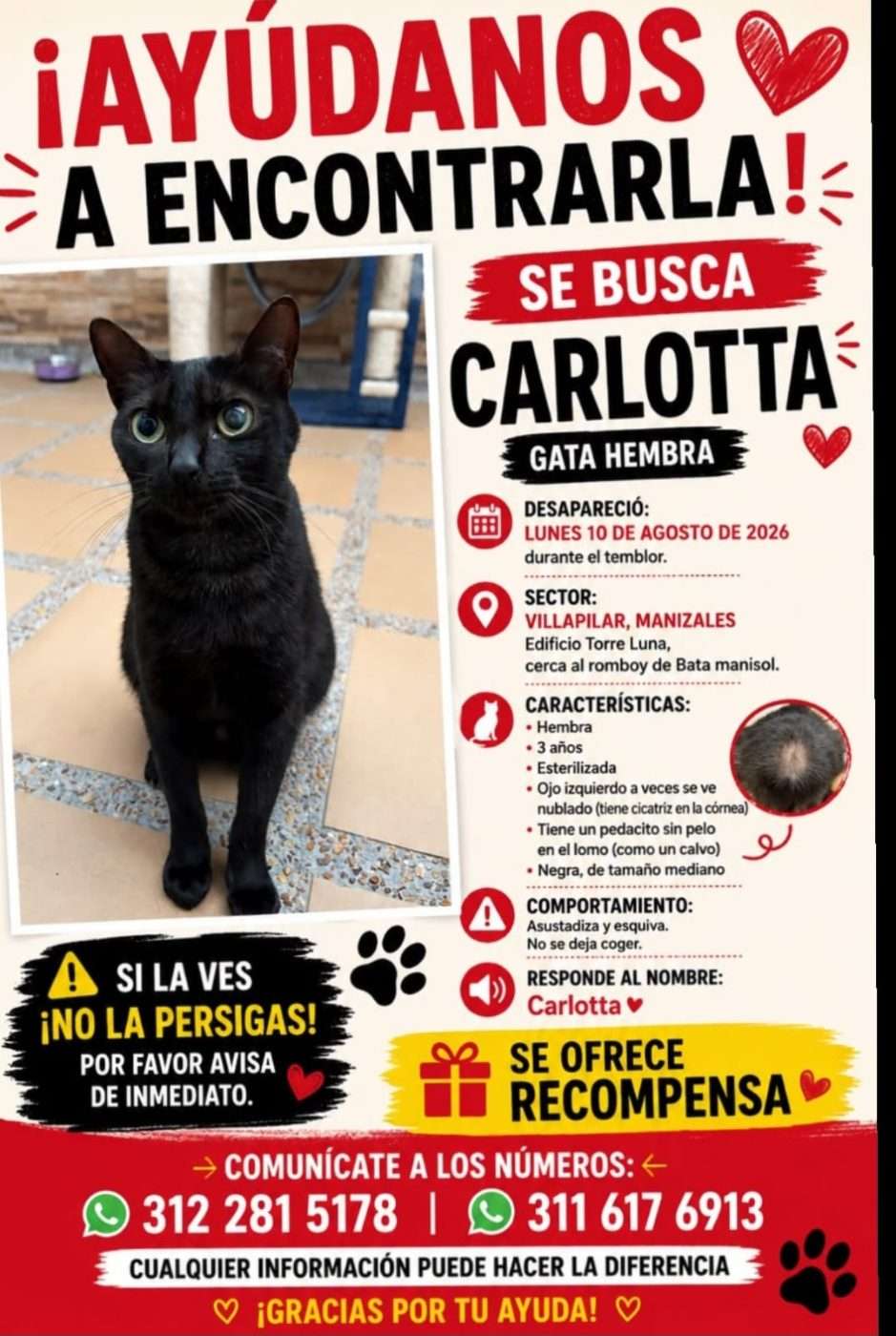 Carlotta
