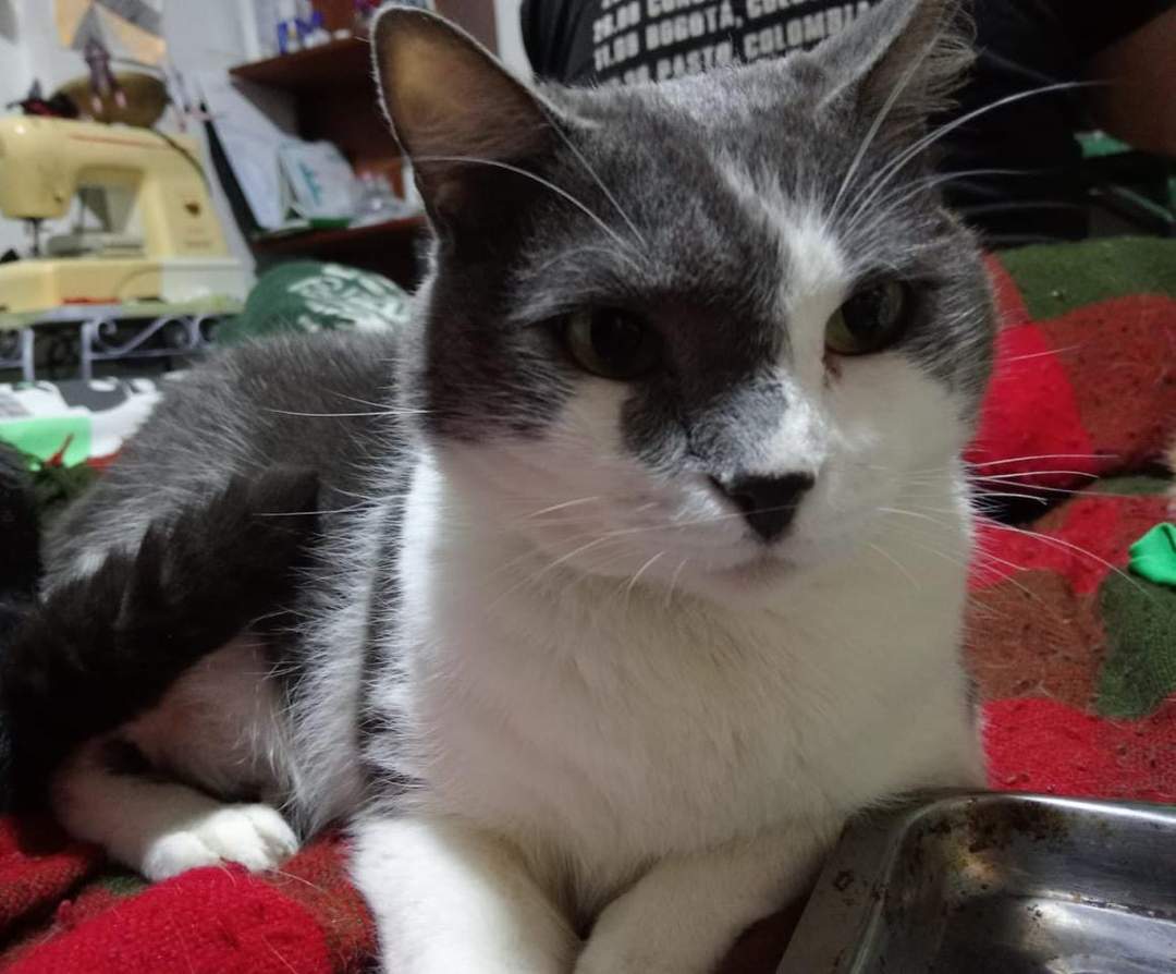 Foto de Nacho