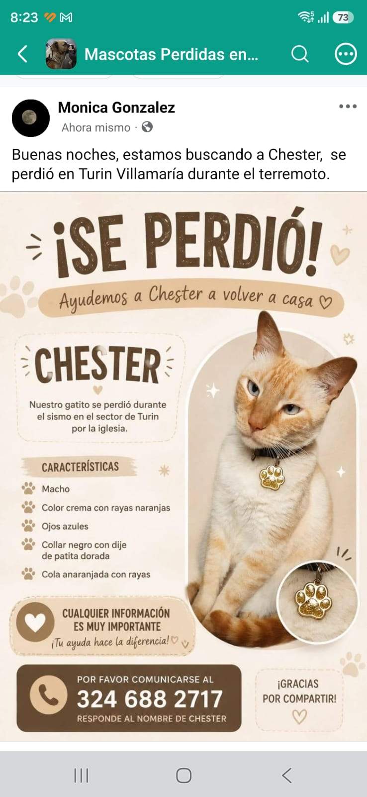 Foto de Chester