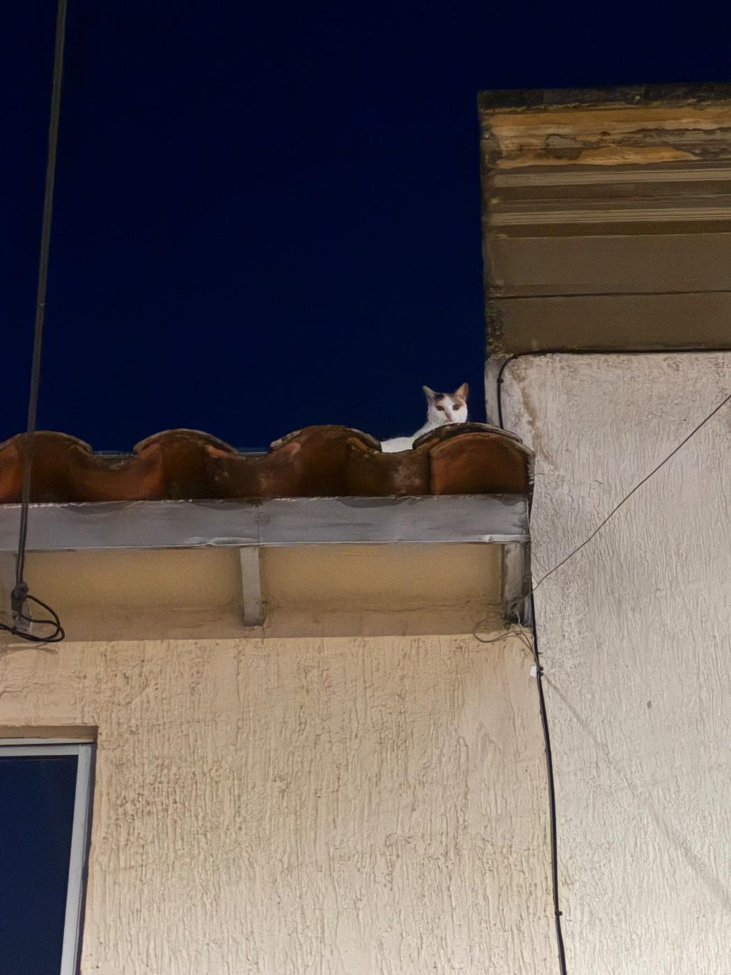 Foto de Posiblemente Kira