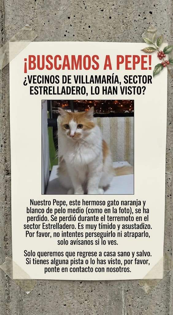 Foto de Pepe