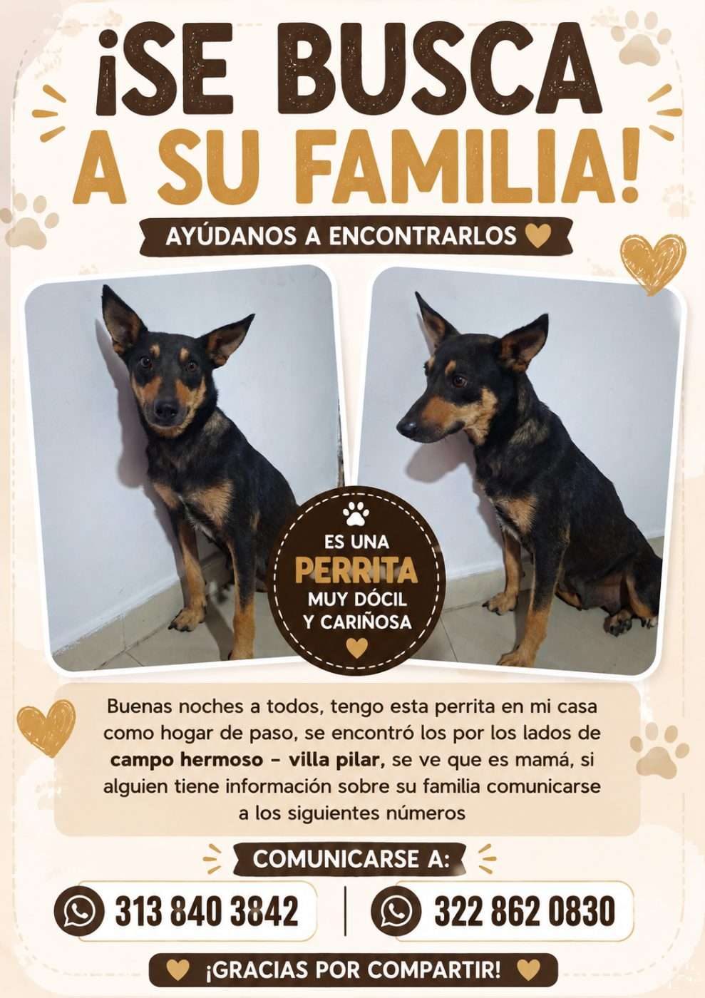 Mascota