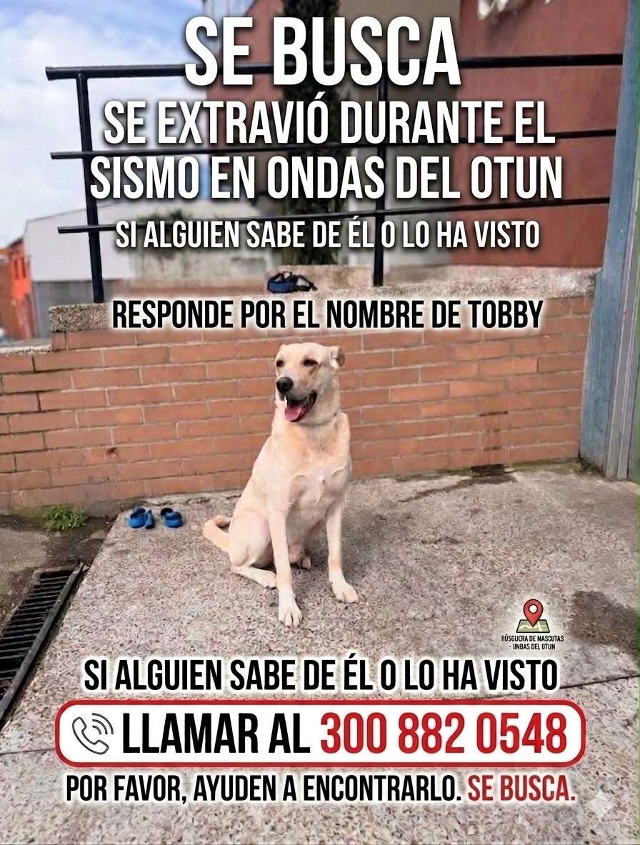 Tobby