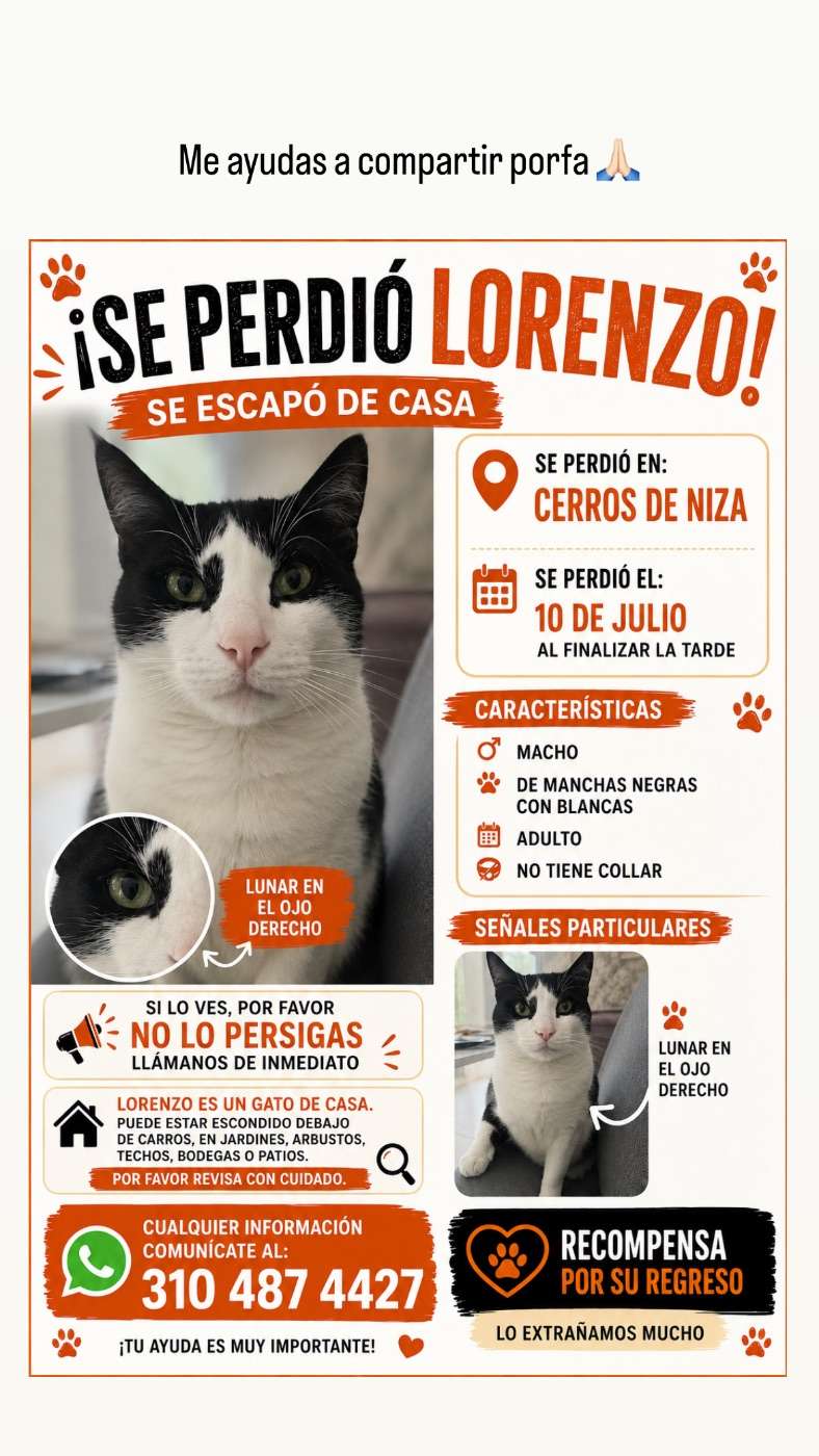 Lorenzo