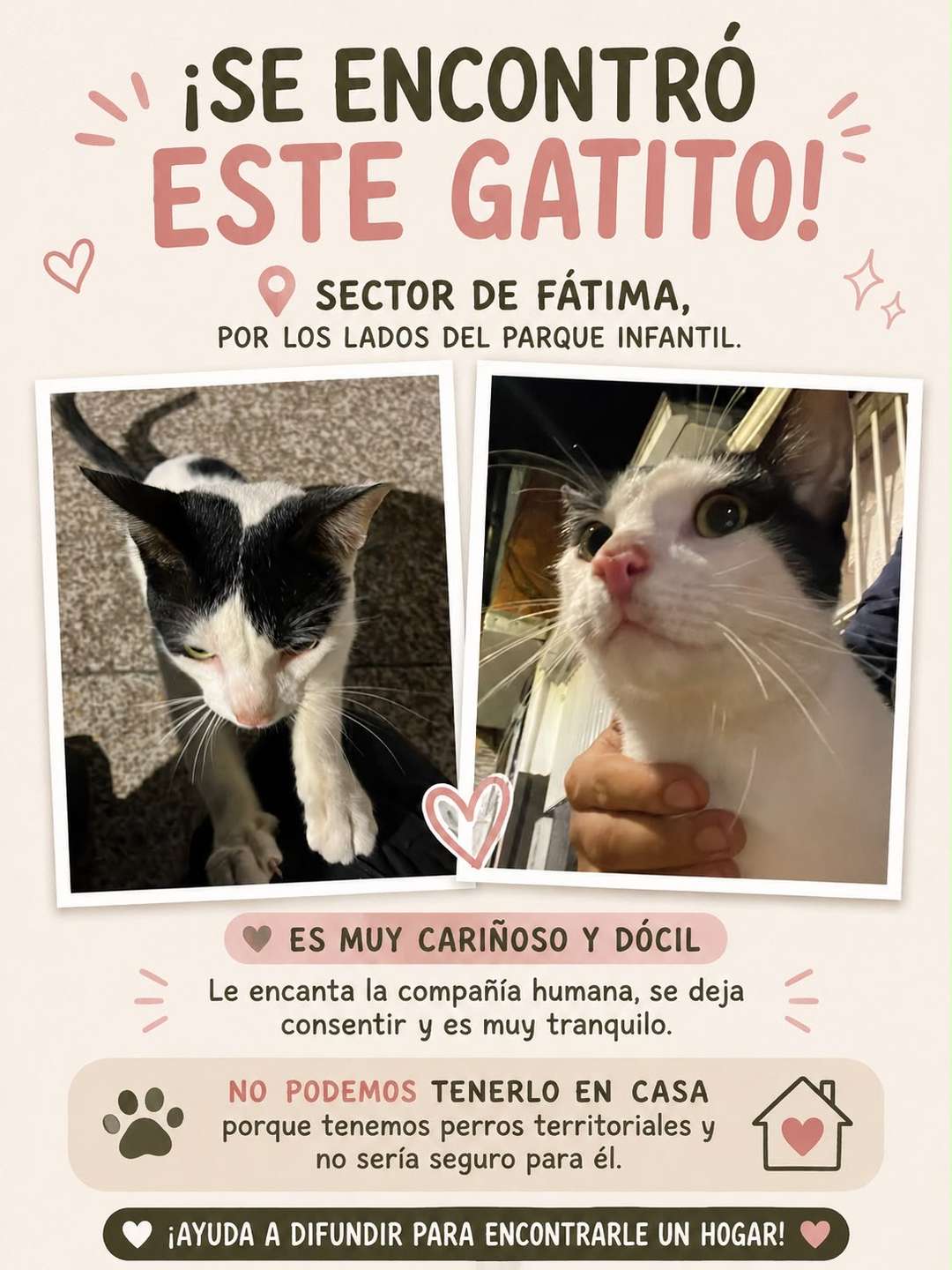 Mascota