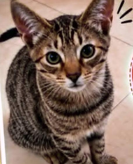 Foto de Thomas