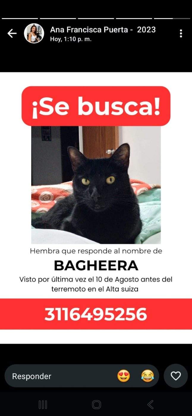 Foto de Bagheera