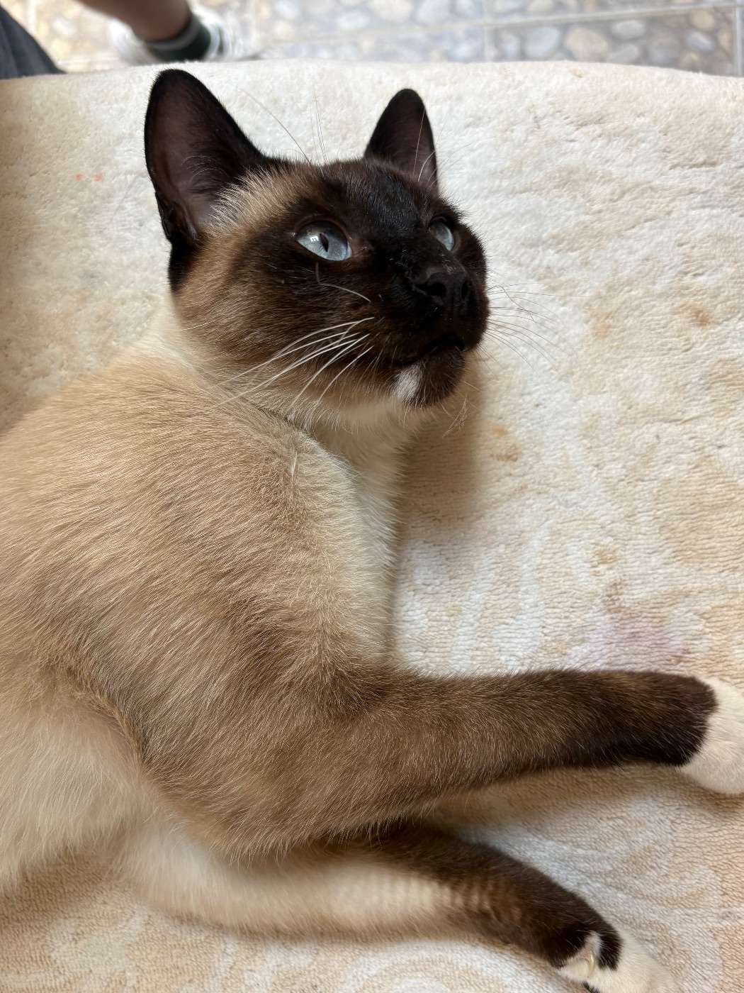 Desconocido