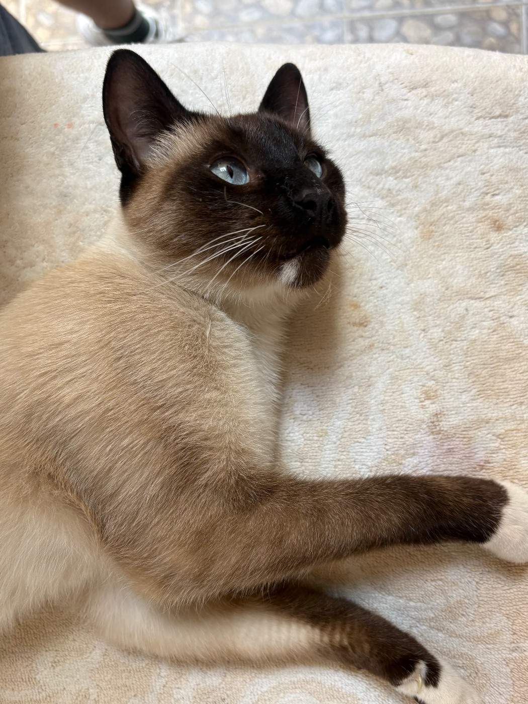 Foto de Desconocido