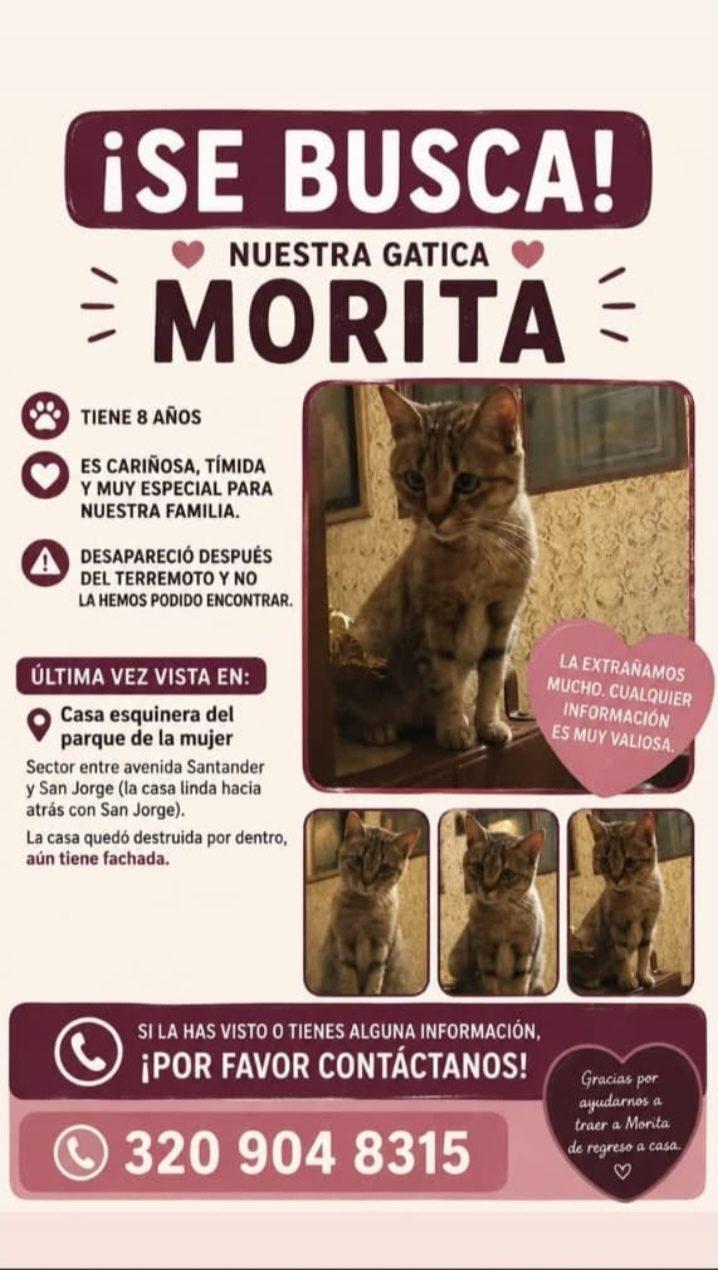 Foto de Morita