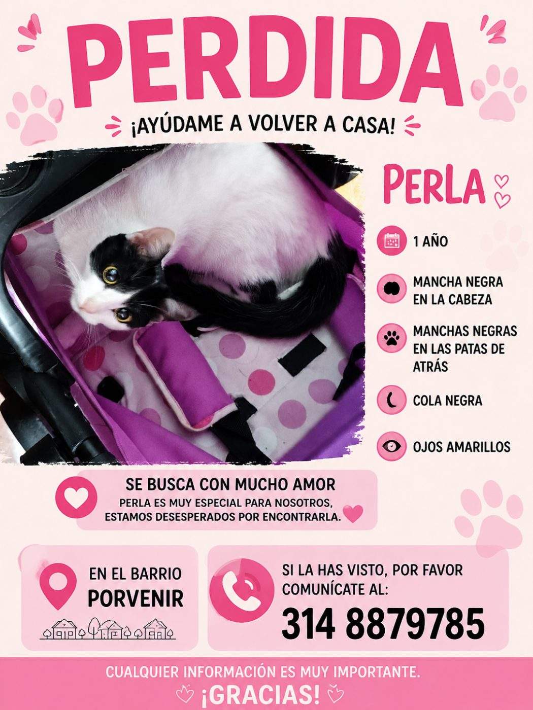 Foto de Perla