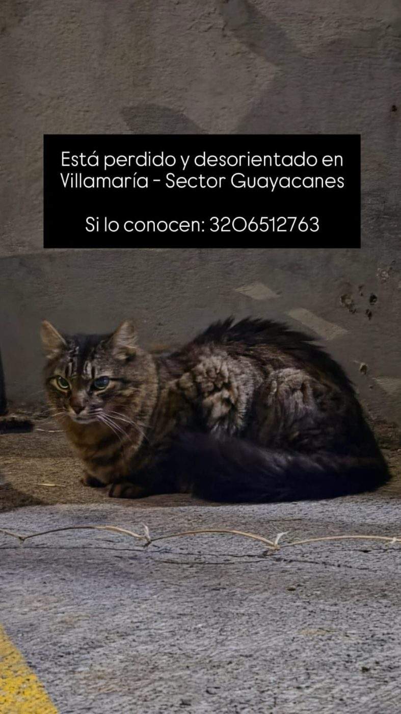 Foto de no tiene placa