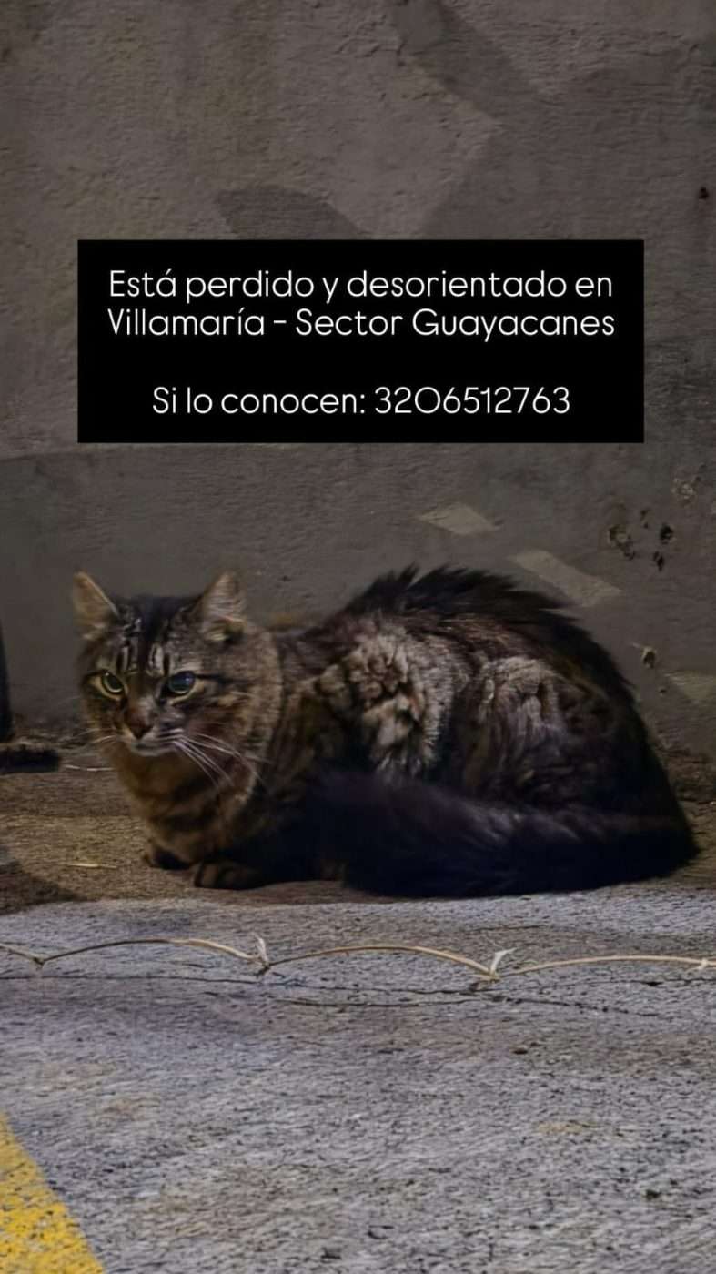 no tiene placa