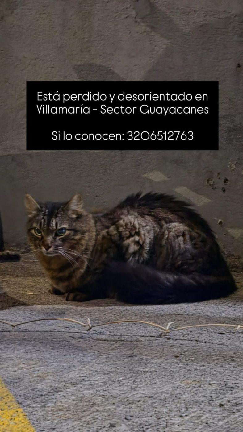 Foto de no tiene placa
