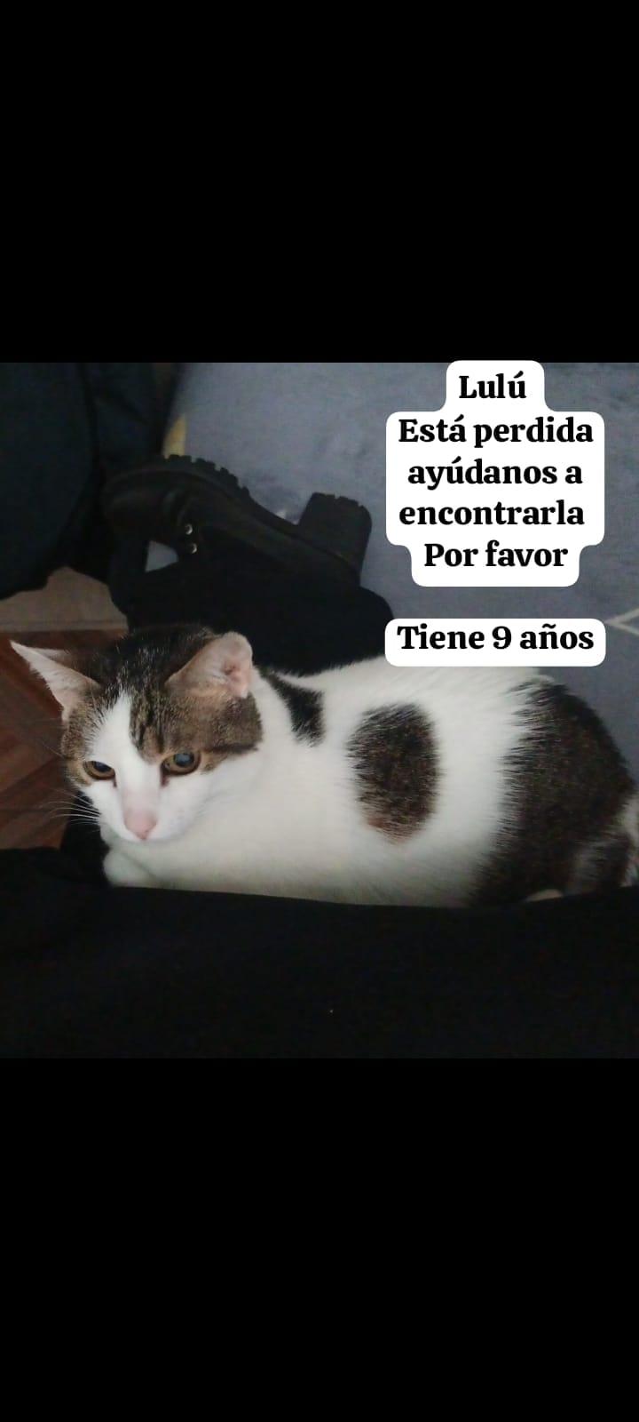 Foto de Lulú