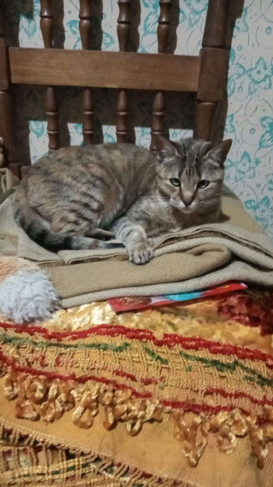 Morita