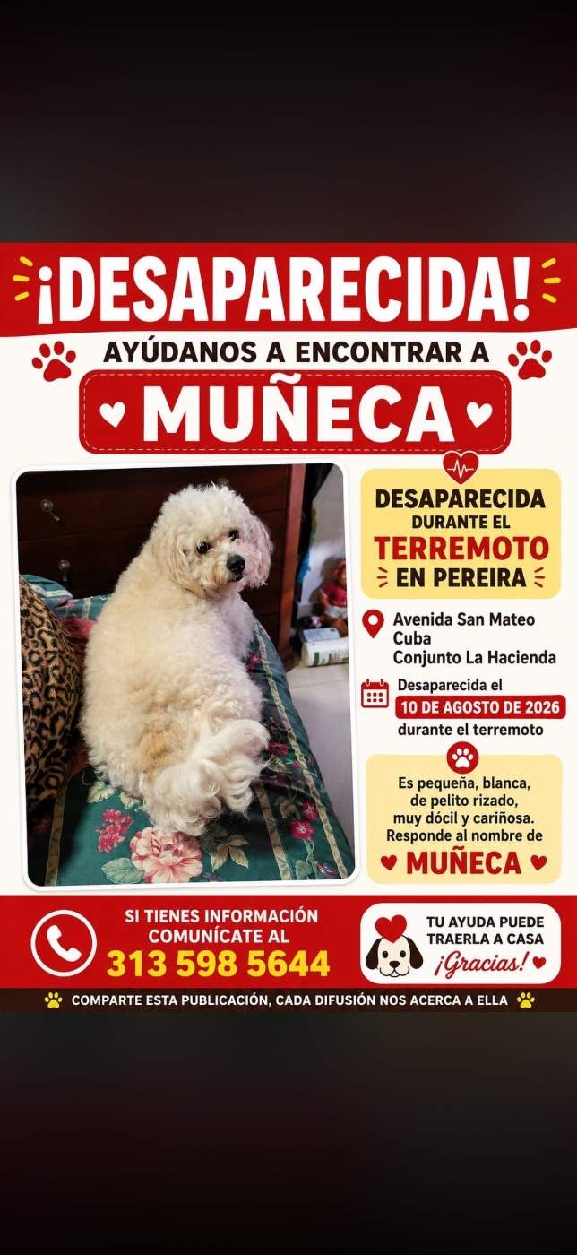 Foto de Muñeca