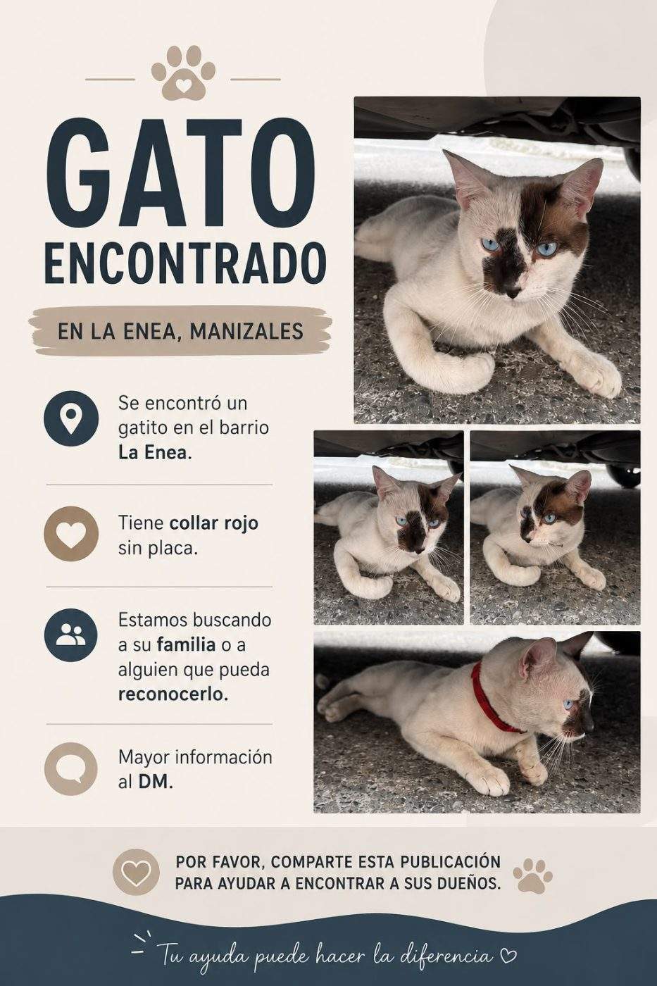 Foto de la mascota