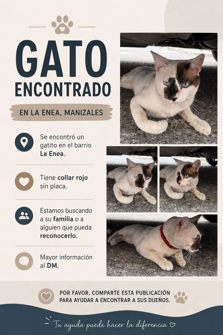Mascota