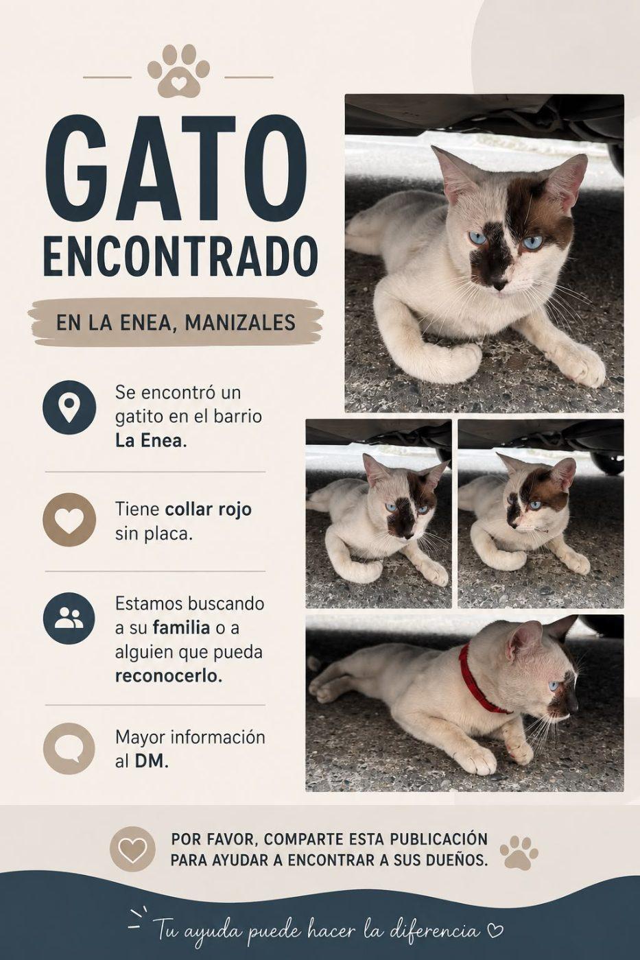 Foto de la mascota