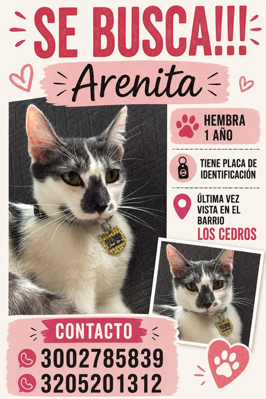 Foto de Arenita