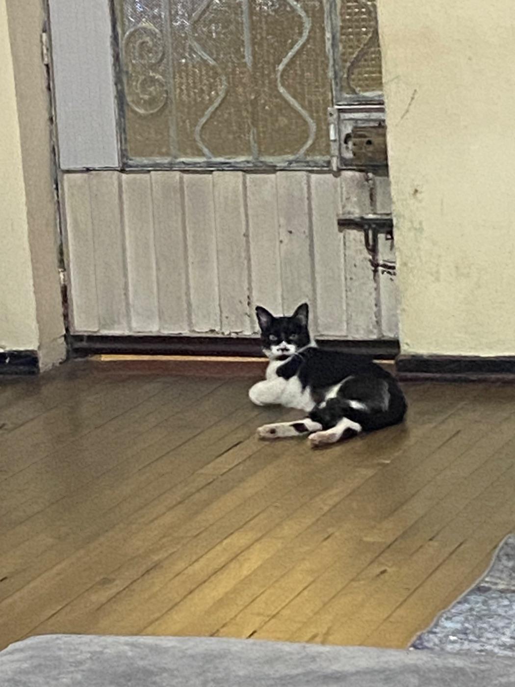 Foto de Pancho