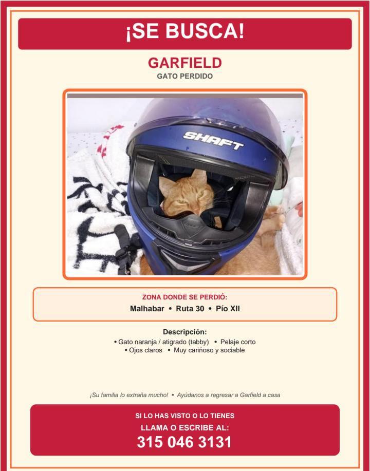 Foto de Garfield