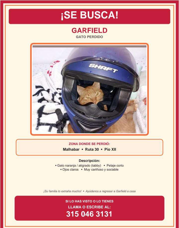 Garfield