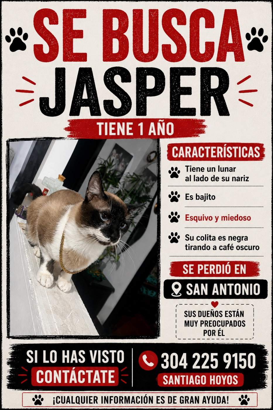 Foto de Jasper
