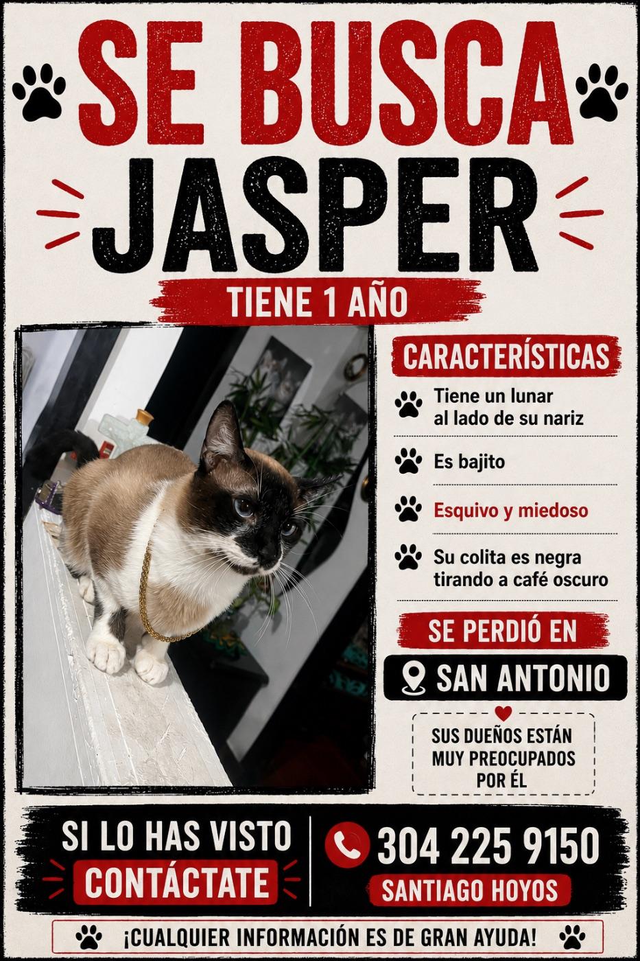 Foto de Jasper