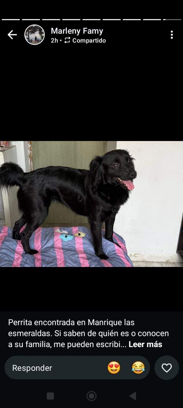 Foto de Negra