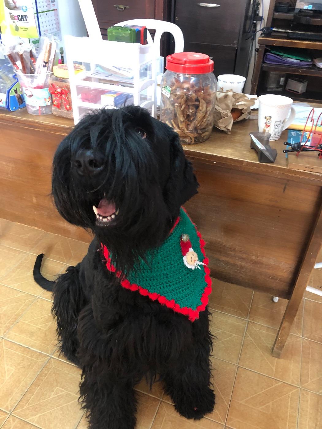 Foto de Leo
