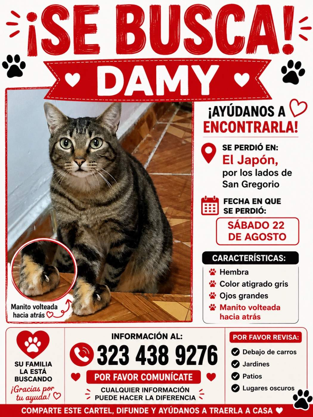 Foto de Damy