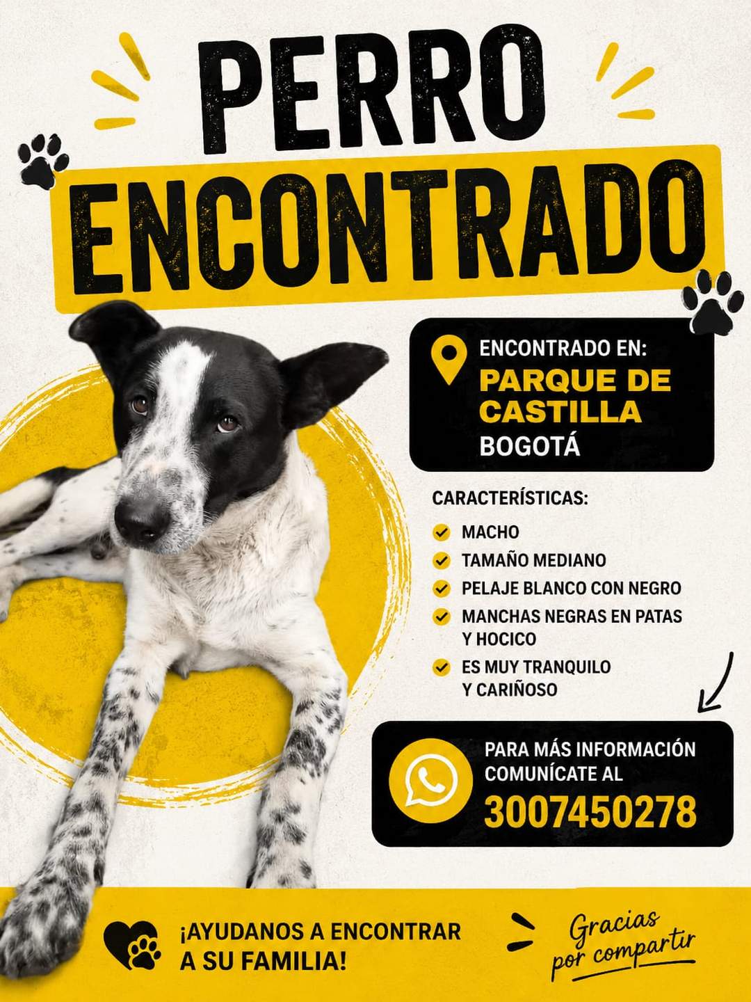 Foto de la mascota